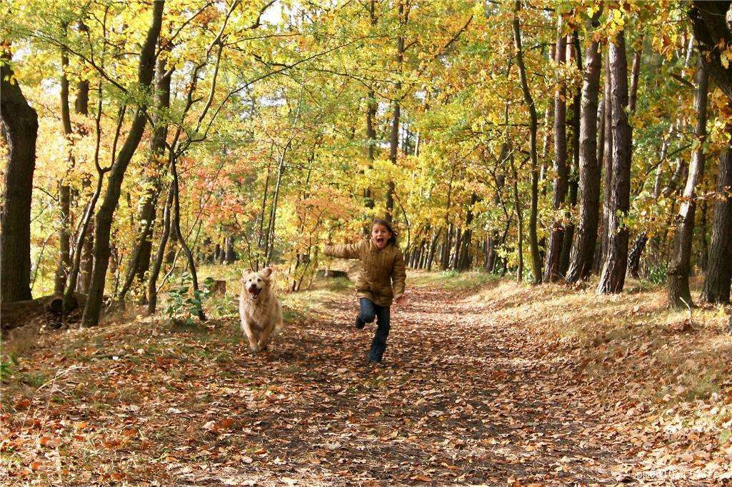 為什么秋季裝修異味這么重？甲醛超標(biāo)怎么辦