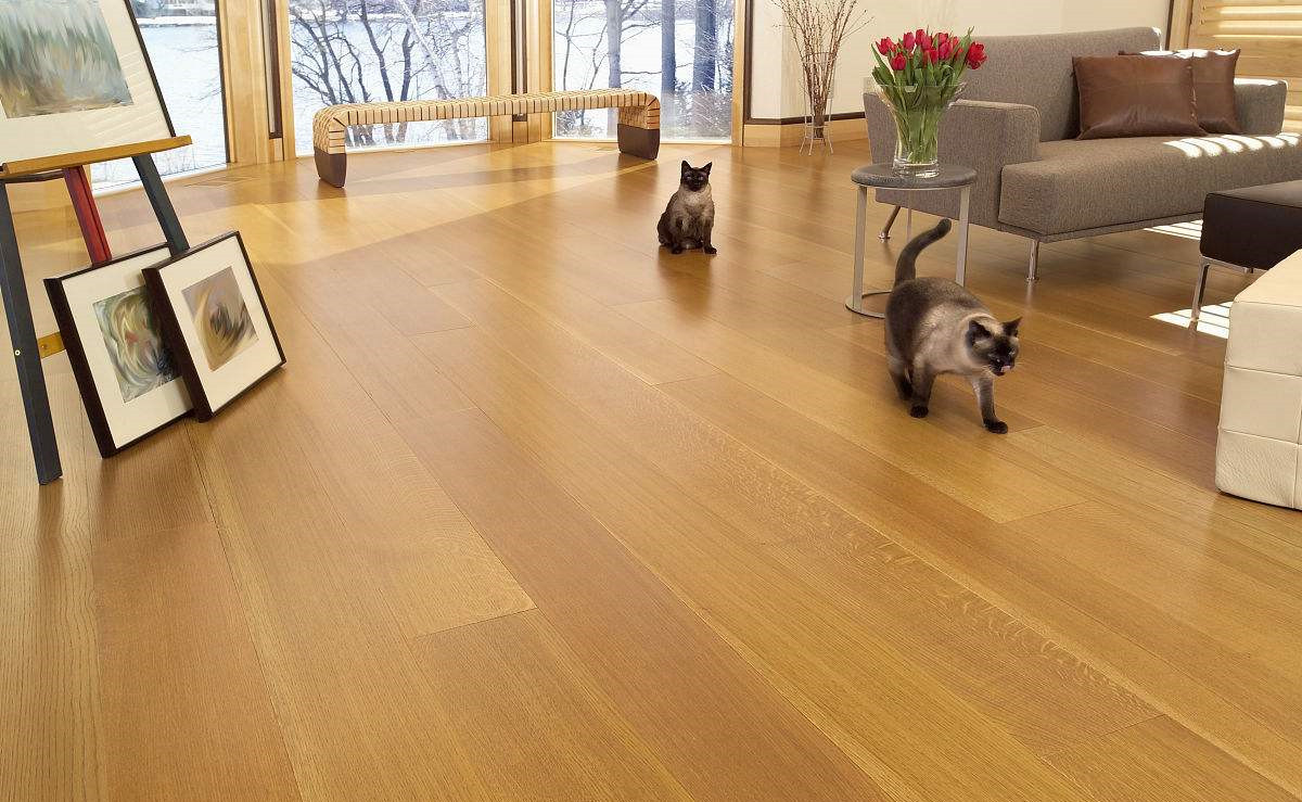 無法拆開、無法通風(fēng)！地板甲醛超標(biāo)怎么辦