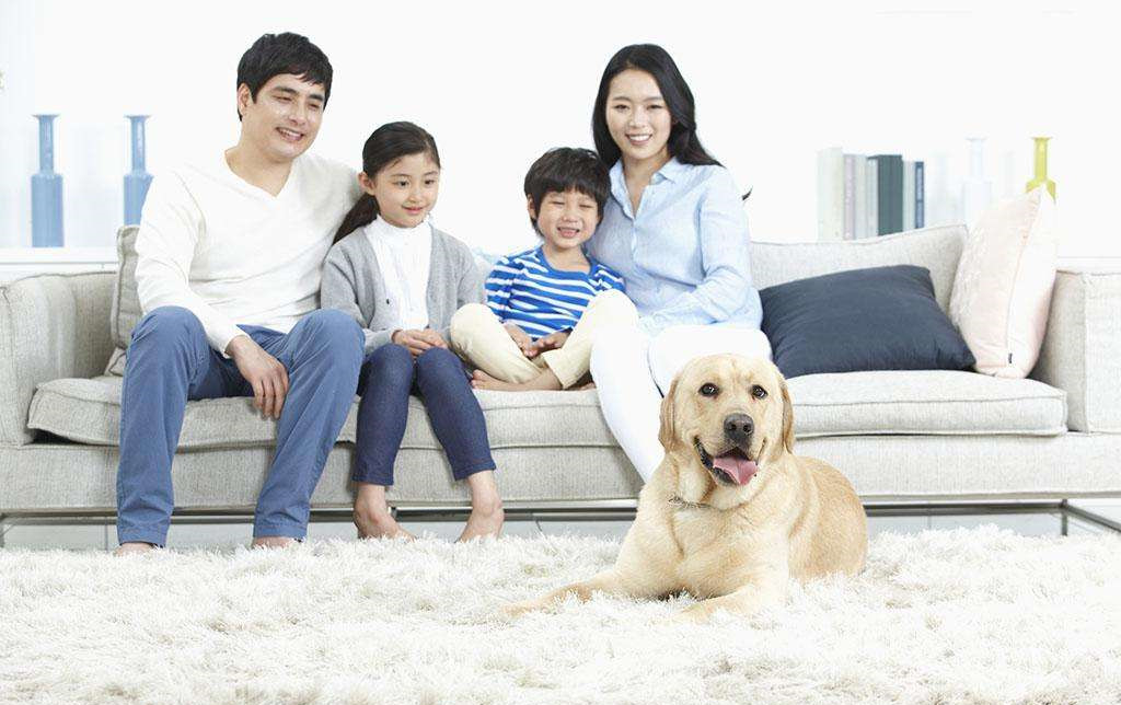 家里甲醛超標怎么辦，受污染影響的人群有哪些