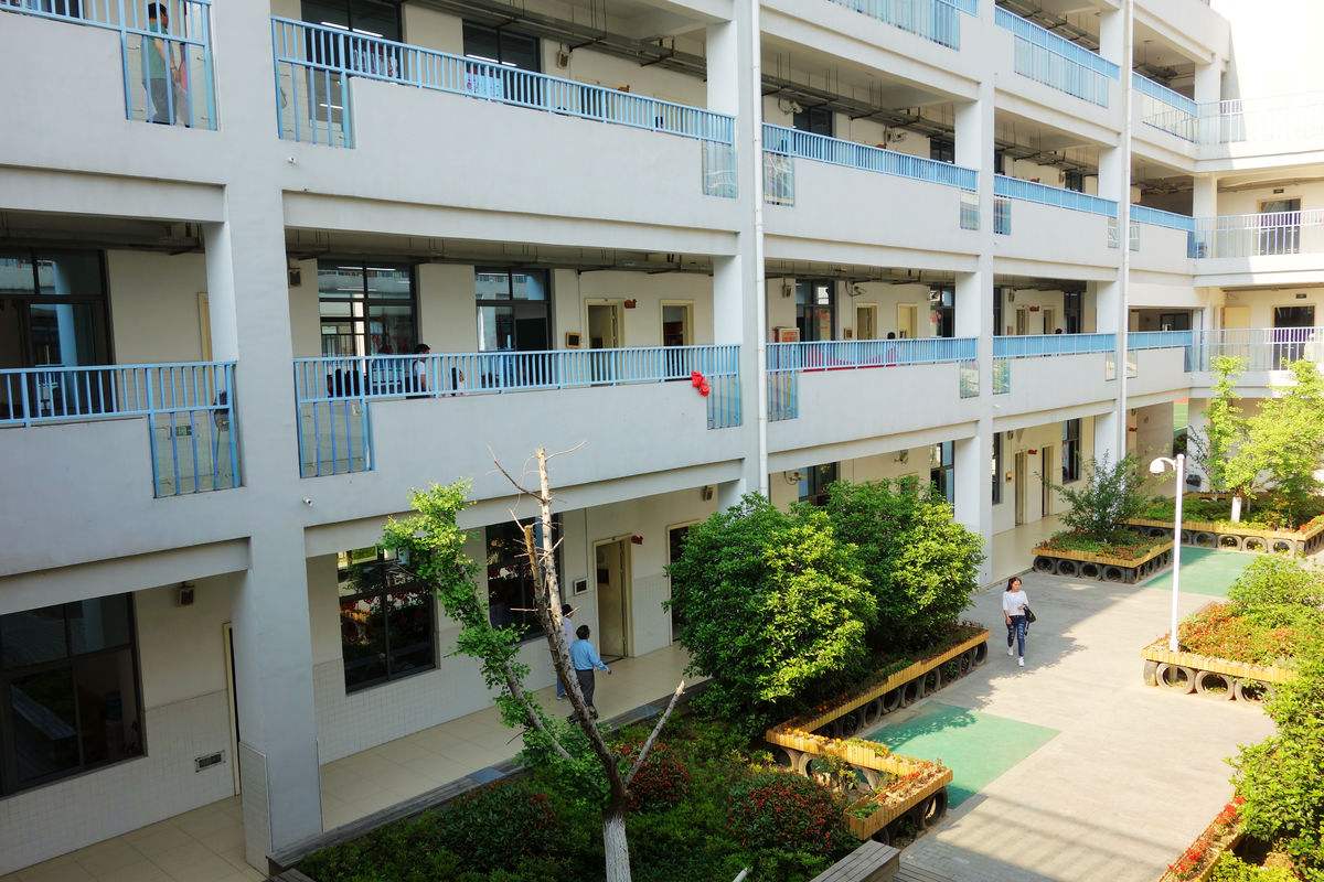 校舍裝修完買了400盆綠蘿凈化空氣，還有孩子開學(xué)***天就熏暈了！