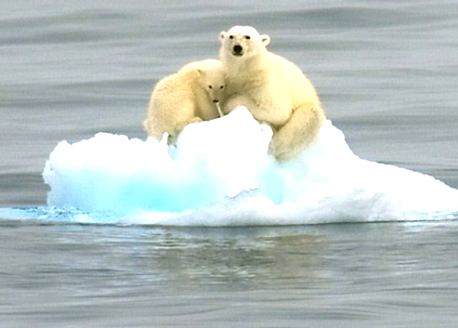 溫室效應產(chǎn)生的主要原因是什么？我們又該如何解決