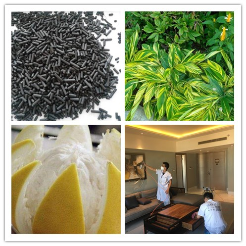 新房除甲醛，您一定不會(huì)失手！