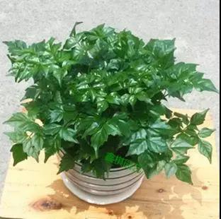 家中旺位和衰位在哪里？三分鐘學習室內(nèi)風水學