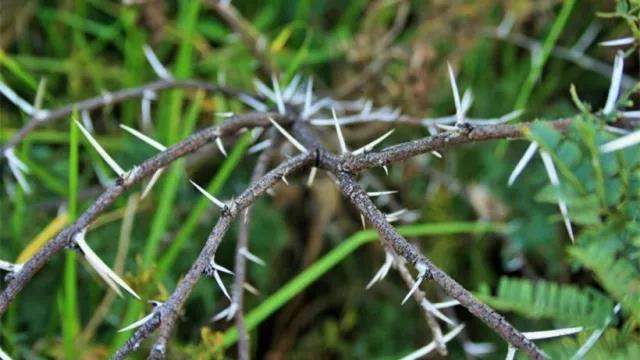 家中旺位和衰位在哪里？三分鐘學習室內(nèi)風水學