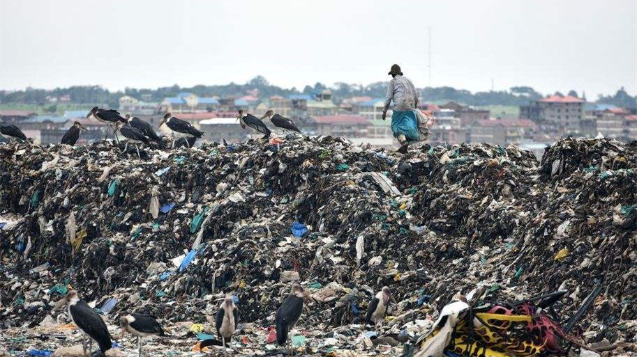 健康四月，環(huán)保政策搶先看！