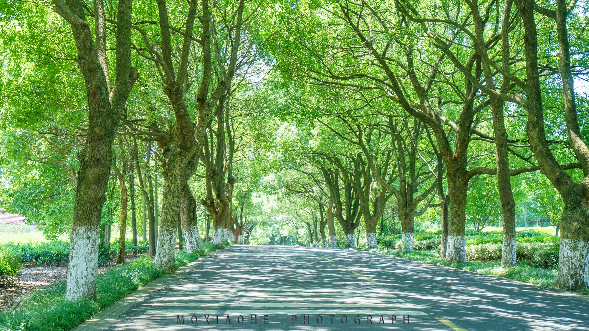 #助力高考# 保存好你的高考準(zhǔn)考證，創(chuàng)綠家送您安“醛”一夏！