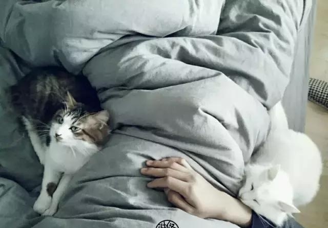 21天3000元重裝出租屋 除甲醛莫忘記！