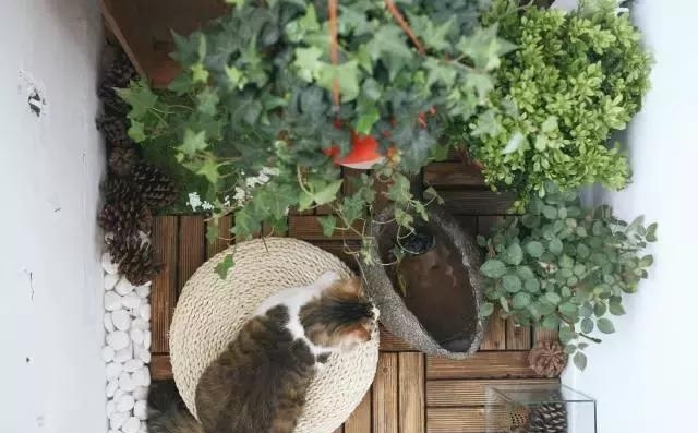 21天3000元重裝出租屋 除甲醛莫忘記！