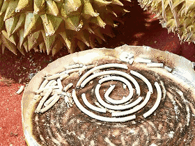 成分中有甲醛蚊香立馬變毒香，甚至還會(huì)致癌……