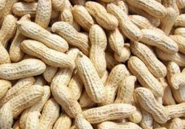 水煮花生含甲醛？實(shí)測多家燒烤店結(jié)果太可怕！