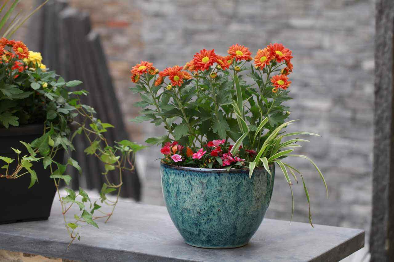 你認(rèn)為網(wǎng)上最正確的除甲醛方法是那個(gè)？