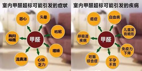 畢業(yè)季&租房季 清楚這幾點就能避開甲醛超標(biāo)公寓