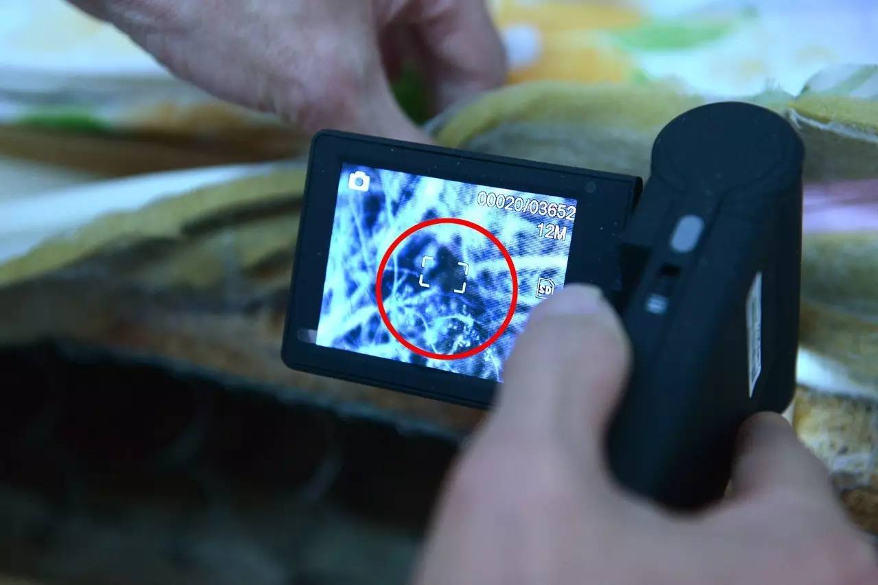 南京美女睡了10年的床墊，掀開后把全家人都嚇傻了……