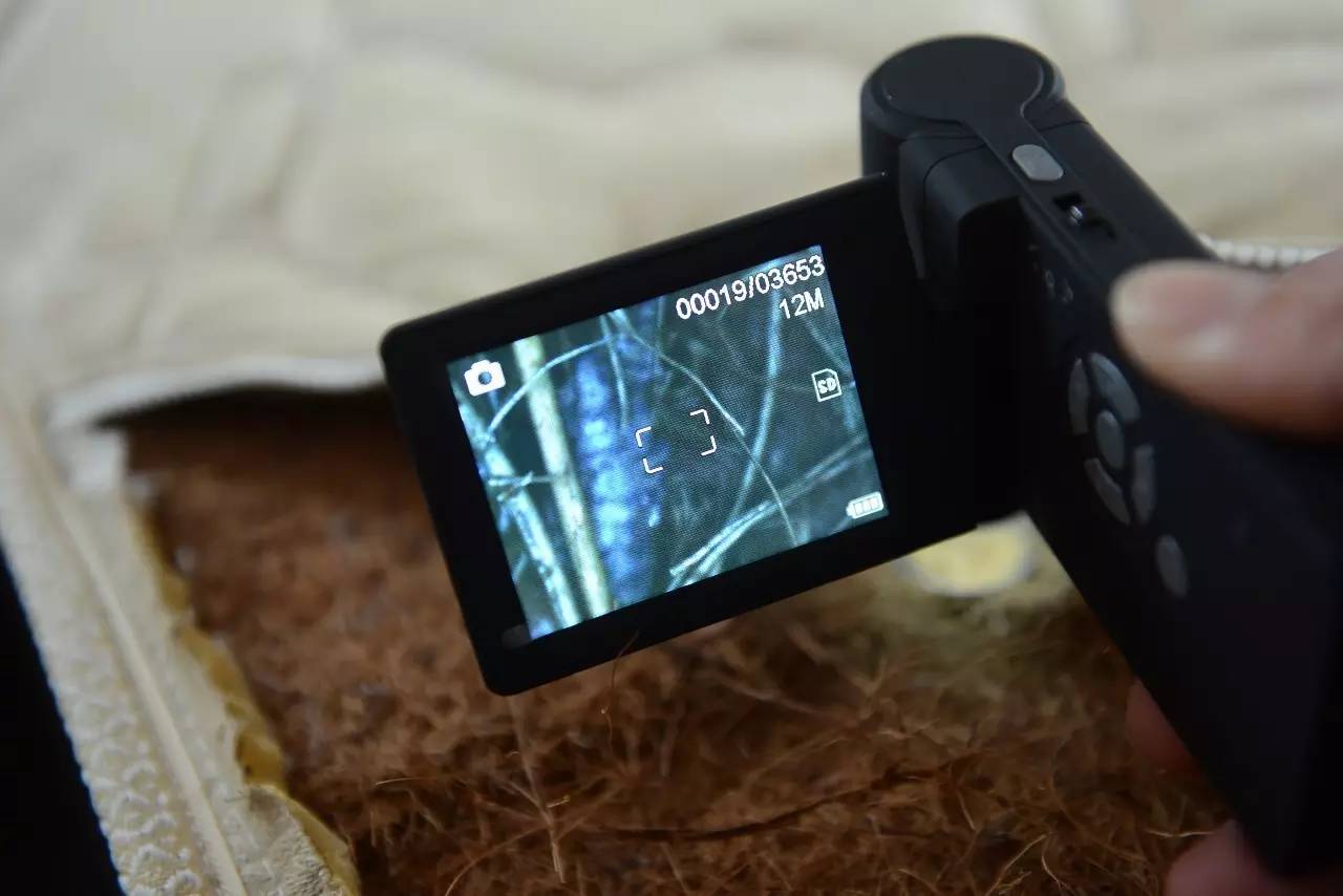 南京美女睡了10年的床墊，掀開后把全家人都嚇傻了……